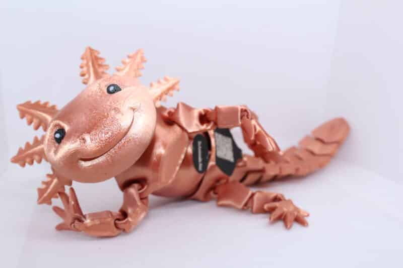 Smiling Axolotl - Image 15