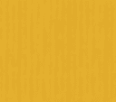 Mustard Swatch