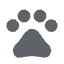 Animal Paw Icon