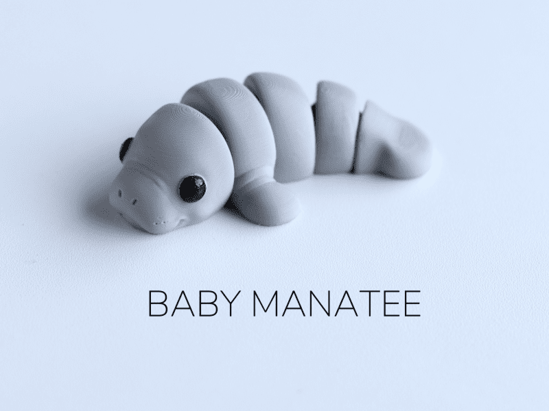 Grey Baby Manatee