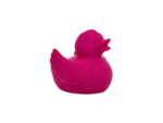 Pink Duck