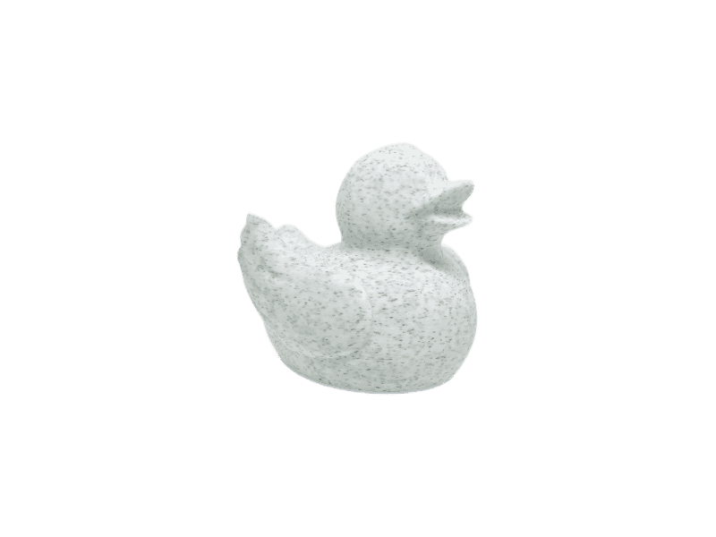 While Marble Duck