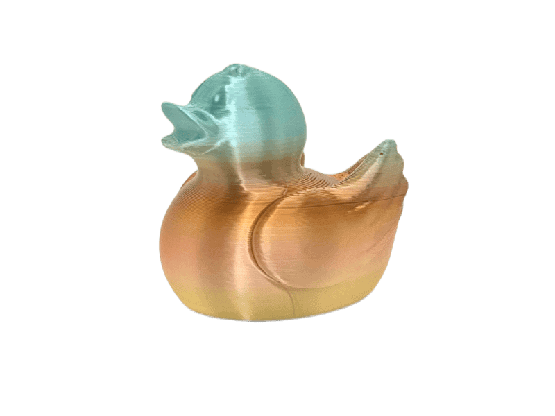 Ombre Duck