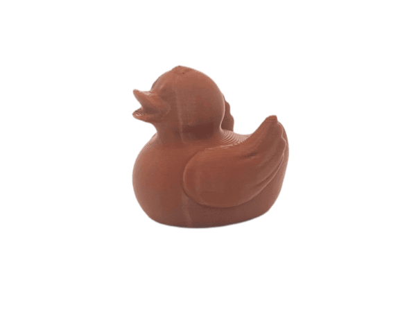 Brown Duck