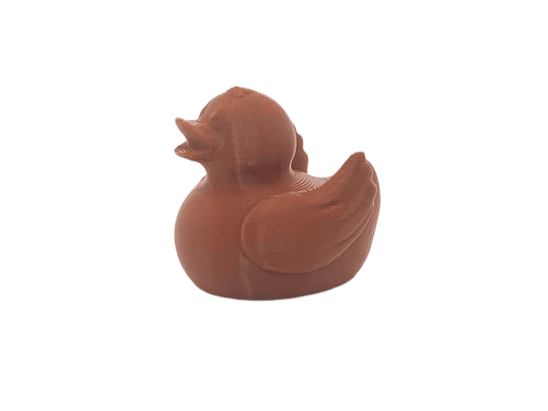 Brown Duck