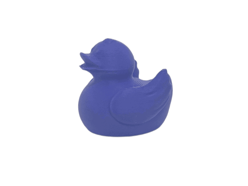 Purple Duck