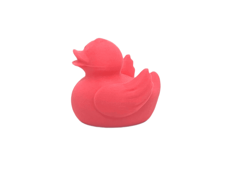 Fluro Pink Duck