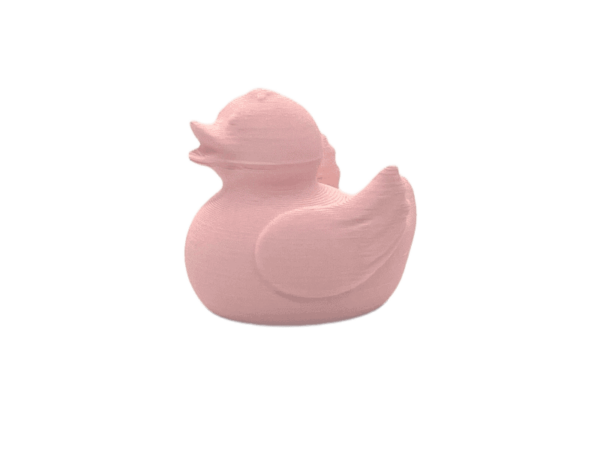 Pink Pastel Duck