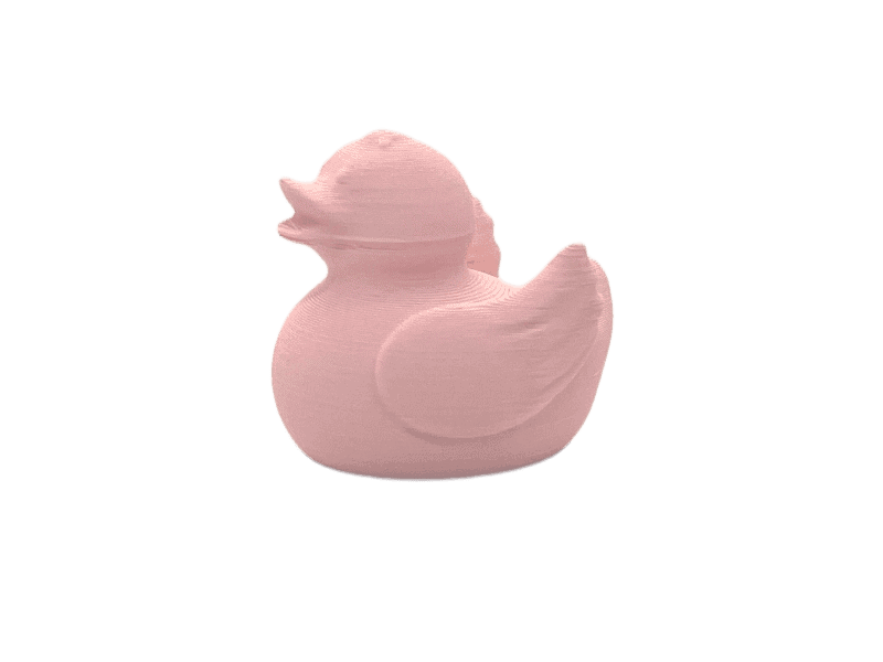 Pink Pastel Duck