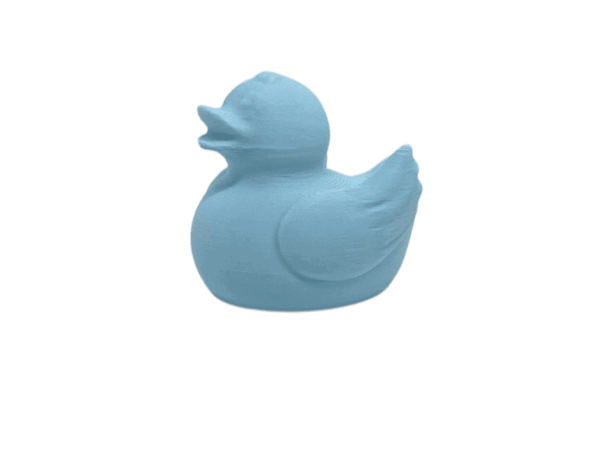 Baby Blue Duck