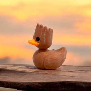 Groot Duck