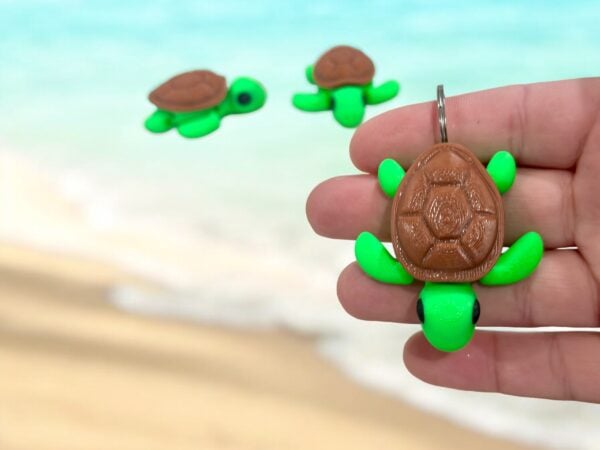 Turtle Keyring