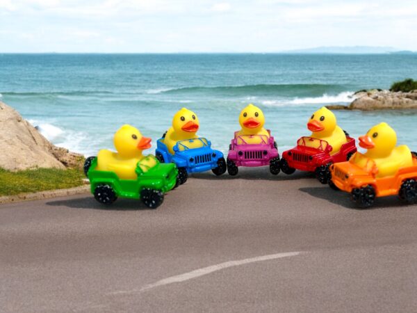 Jeep Wrangler Duck