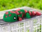 Flexi Salamander - Green with Pink Sparkle