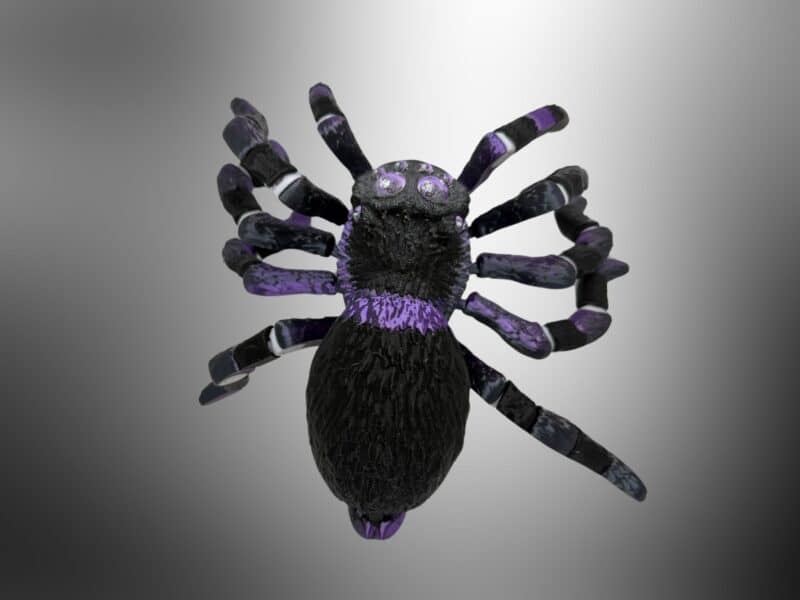 Flexi Spider