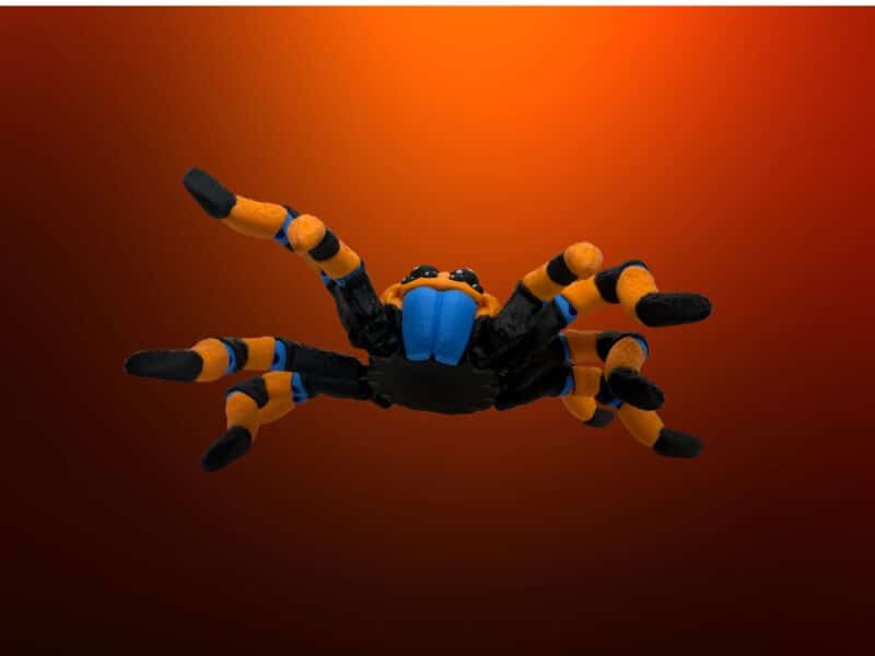 Flexi Spider