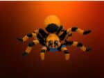 Flexi Spider