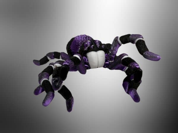 Flexi Spider