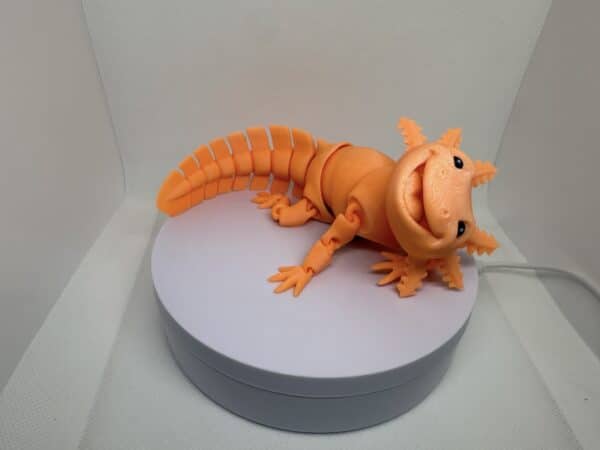 Laughing Axolotl - Orange Glow